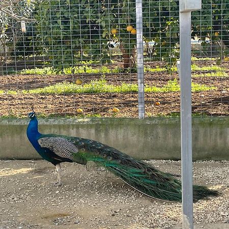 Finca La Tacita - Jazmin โกนิล เด ลาฟรอนเตรา ภายนอก รูปภาพ